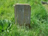 image of grave number 320104